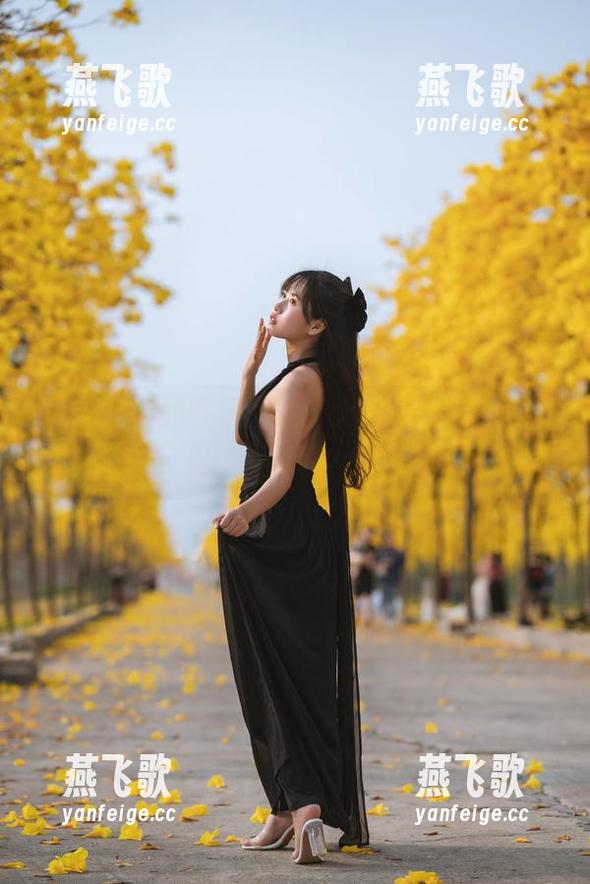 萌芽儿o0的在线图集：大象的舞台剧，谁说无聊？